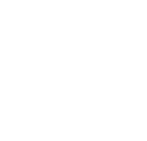 ECNL LOGO ICON