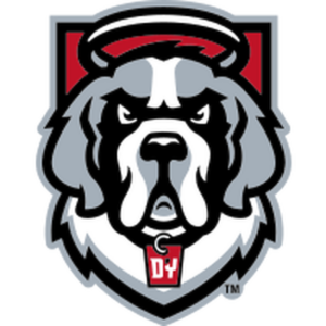 D'Youville University
